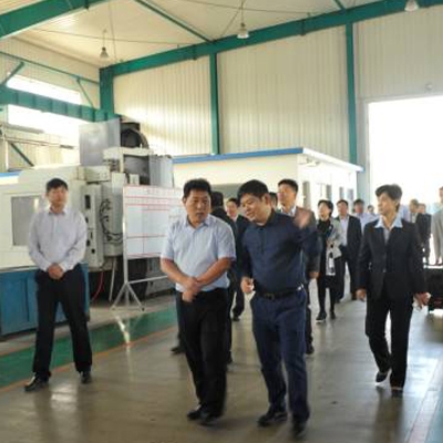 全市金融系統(tǒng)企業(yè)現(xiàn)場觀摩團蒞臨公司參觀指導(dǎo)工作